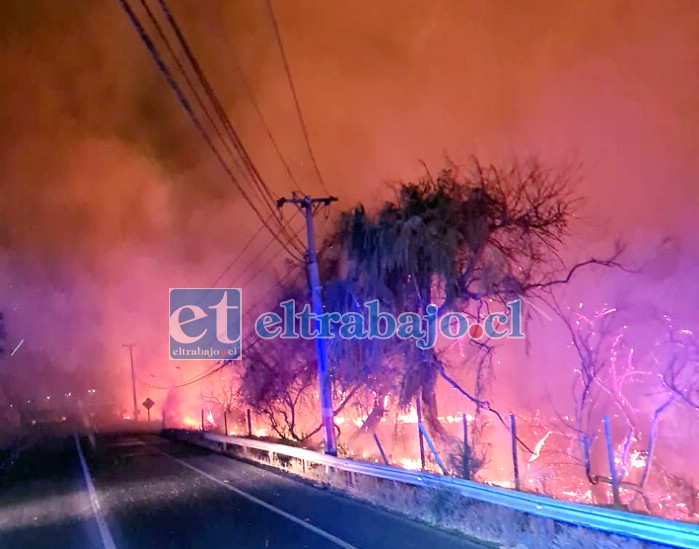 El fuego estuvo a punto de alcanzar los cables del tendido eléctrico.