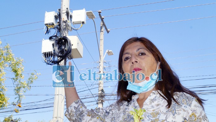 SIEMPRE ALERTA.- Hace pocos meses esta dirigenta vecinal denunció en los medios el problema que estas antenas instaladas en su población representan.