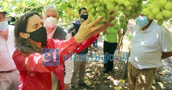 La ministra de Estado señaló que con esta medida se espera reunir fondos de distintos sectores para ir en ayuda de los agricultores afectados por el último frente de mal tiempo.