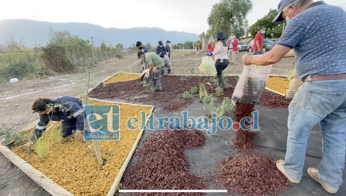 Un cambio radical está experimentando el sector de la Costanera Poniente con los trabajos de recuperación y hermosamiento que inició el municipio sanfelipeño.