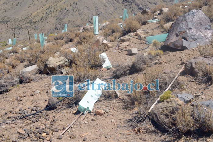 La empresa minera debía reforestar el sector, lo que no se habría cumplido pues según el comunicado, en fiscalización ciudadana realizada en octubre y noviembre del 2020 por parte de especialistas en medio ambiente, se constató que todas las especies replantadas estaban muertas.