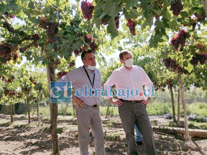 El diputado Luis Pardo se reunió con Fernando Torregrosa, director regional de Indap, para estar preparados ante los eventos climáticos que pudieran presentarse.