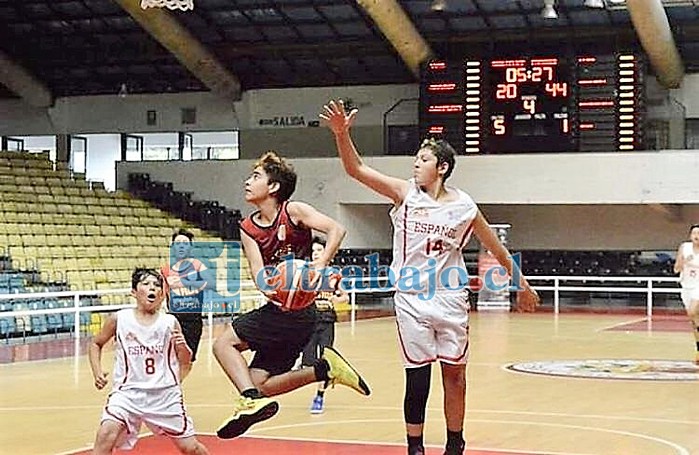 El club San Felipe Basket aporta con tres jugadores a la selección chilena U14.