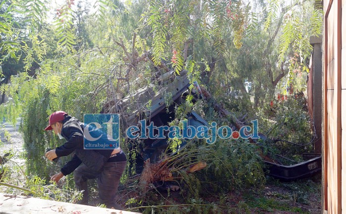 VIVO DE MILAGRO.- Las cámaras de Diario El Trabajo registran la escena del accidente, el auto quedó volcado de campana y debajo de varios árboles que arrancó tras chocar contra el poste.