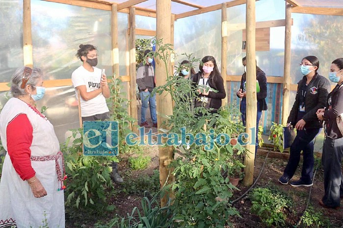 GRATIS PARA TODOS.- Vecinos siguen llegando diariamente a solicitar algunas plantas para usarlos medicinalmente.