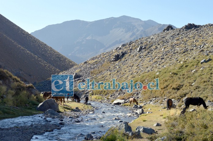 Los bellos parajes del Valle de Putaendo están siendo amenazados por la gran minería, lo que ha generado el rechazo generalizado de la comunidad al proyecto.