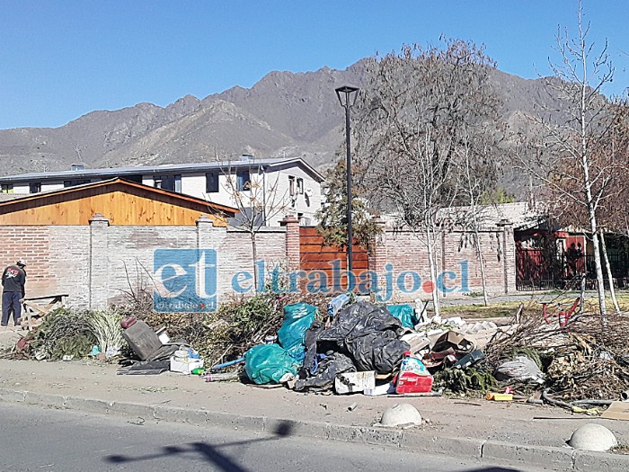 La basura en calle Justo Estay al llegar a Julio Figueroa.