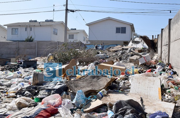 MONTAÑA DE BASURA.- Este es el escenario en el que viven estas familias en Villa Santa Teresa, lleno de moscas, escombros, ramas de árboles, animales muertos y muchas moscas.