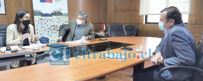 El diputado Luis Pardo se reunió con la ministra de Agricultura, María Emilia Undurraga, y el director nacional de Indap, Carlos Recondo.