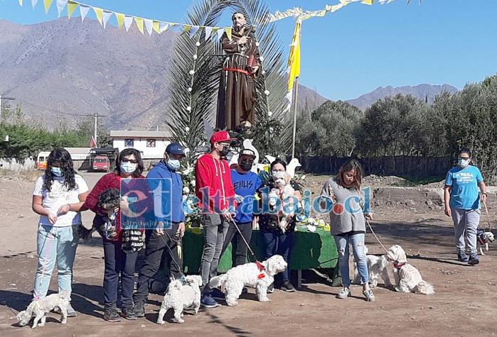 BENDICIÓN DE ANIMALES.- A los pies de San Francisco de Asís llegaron los vecinos de Bucalemu con sus mascotas, esperando su Bendición.