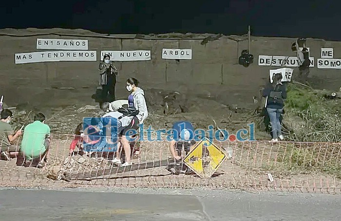 Vecinos de Michimalongo protestaron la noche de este martes por la tala de árboles en la citada arteria. (Foto @emerVcordillera