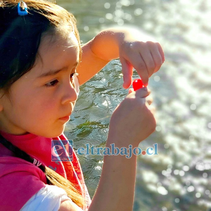 Matilde Montenegro Bustos, de 5 años, ya cuenta con dos premios nacionales de ciencias.