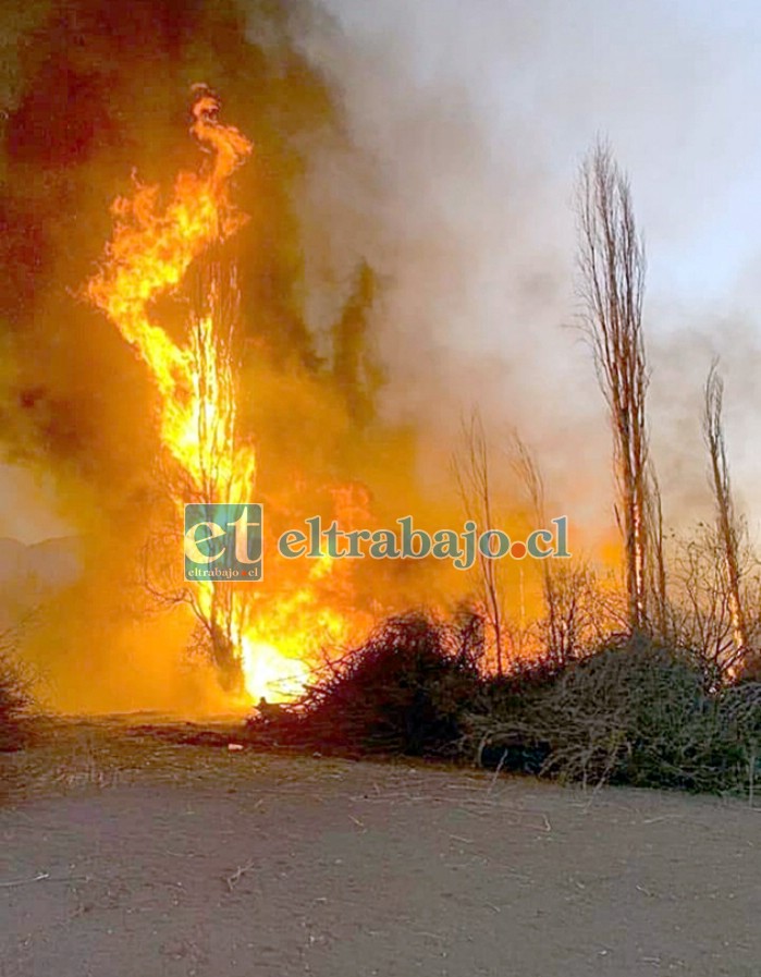 Nuevamente se registró un incendio de pastizales en el estadio Fiscal de San Felipe. (Imagen referencial).