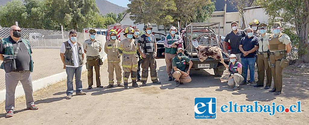 El equipo de los organismos que participaron en este simulacro llevado a cabo el día jueves en la mañana.