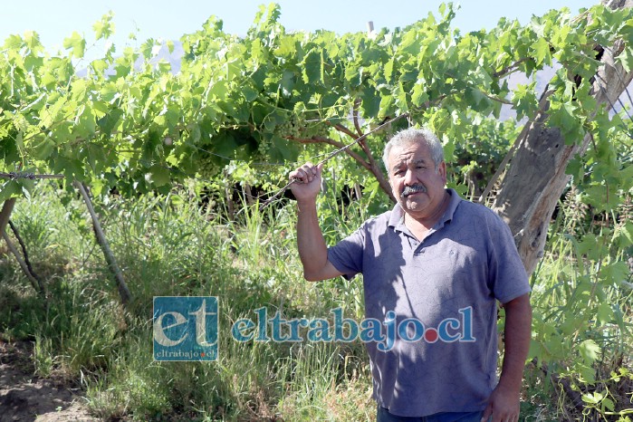 Vicente Urbina, propietario del terreno afectado.