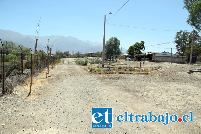 ANHELAN SU PARQUE.- Este espacio está ubicado en la Costanera Poniente, frente al balneario Andacollo que ahora está seco, son 250 metros lineales.