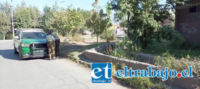 Carabineros presentes en el lugar acogiendo la denuncia. A la derecha se alcanza a ver la malla cortada.