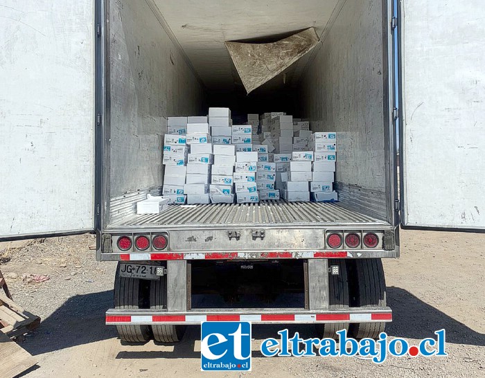 Nada menos que 400 millones de pesos en salmones logró recuperar Carabineros en Santa María, los que habían sido robado con camión incluido en el sector de Angostura.