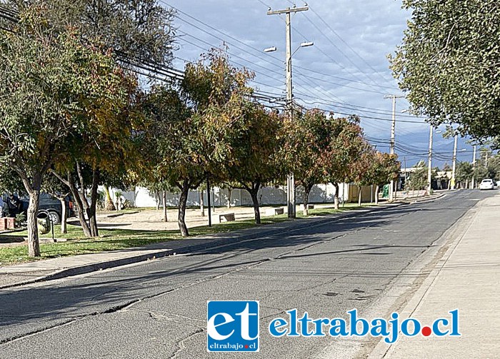 Una inversión de 1.700 millones de pesos demandará la pavimentación de Pedro de Valdivia.