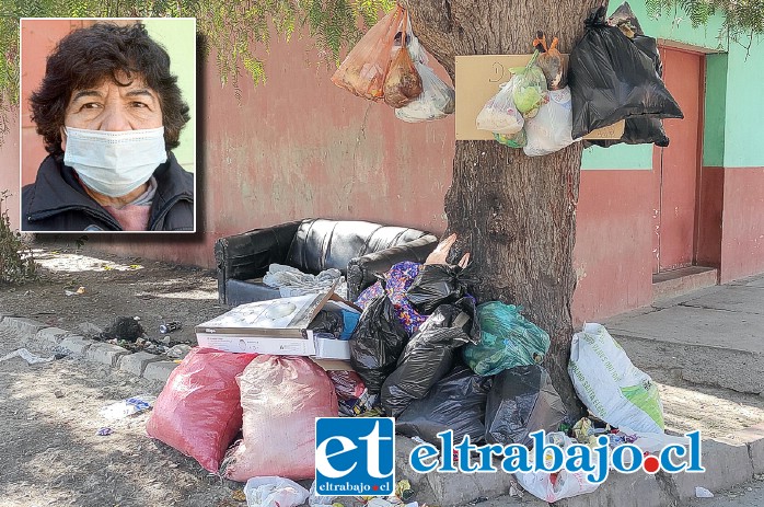 CITÉ DE EXTRANJEROS.- Esta es la triste postal que los vecinos de este pasaje deben soportar regularmente en una vivienda en la que, según ellos, viven cerca de 50 personas. En el recuadro, María Angélica Vergara, presidenta de la junta de vecinos de Población Santa Rosa.