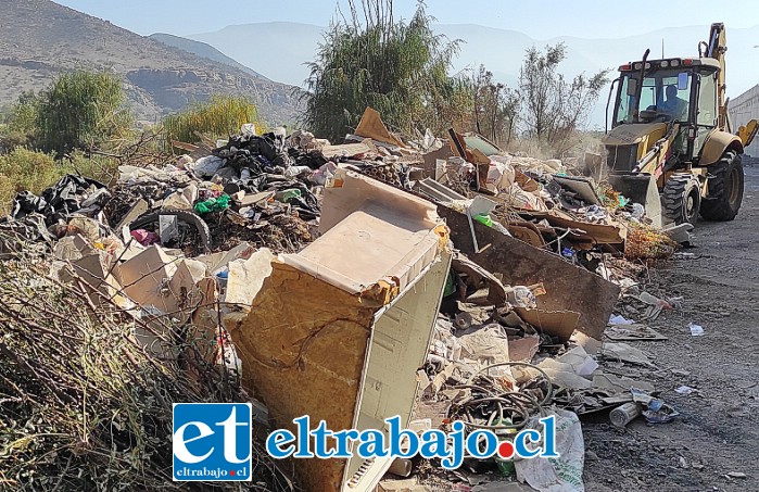 LA OTRA CARA FEA DE SAN FELIPE.- Este era el escenario imperante en toda la ribera del río Aconcagua, sector puente El Rey, veremos cuántos días se conservará limpio.