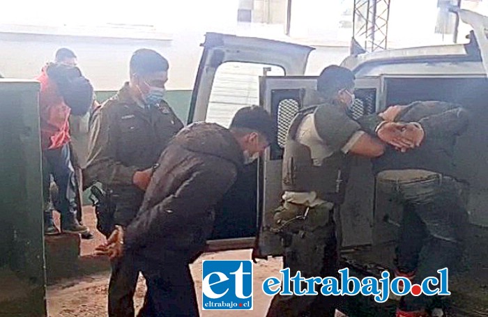 Siete personas fueron detenidas por robo de nueces en la comuna de Rinconada.