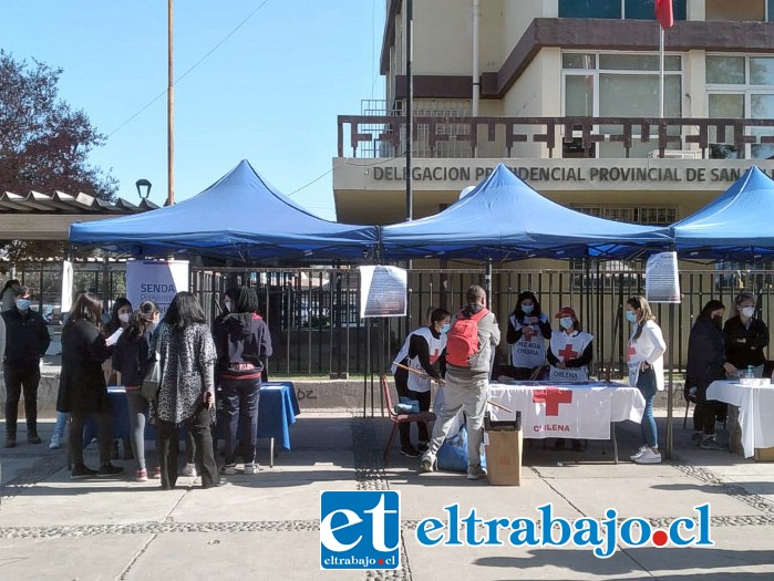 Iniciativa tiene por objetivo concientizar a los más jóvenes en el cuidado y prevención de esta enfermedad.