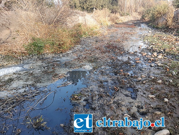 Como una verdadera cloaca luce el que fuera un precioso estero en el sector Chorrillos de Santa María.