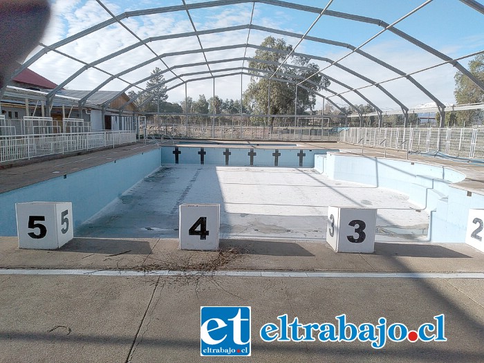 Así luce actualmente la piscina temperada, totalmente abandonada.