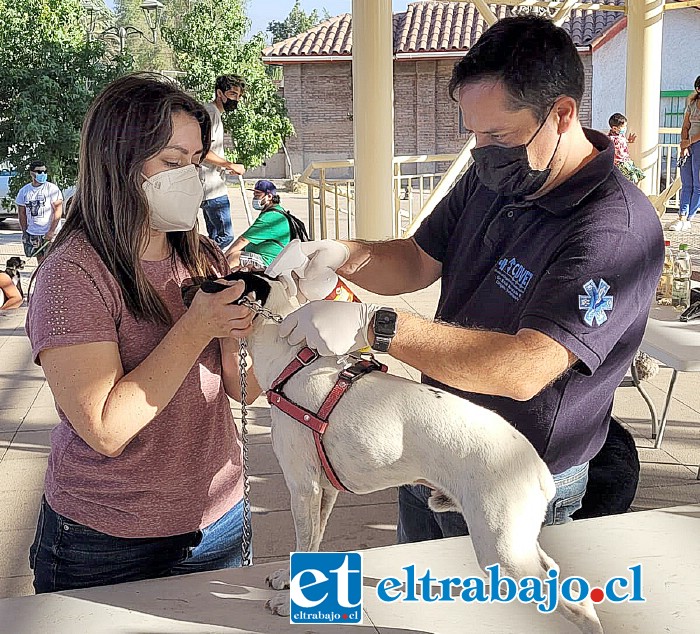 El recinto ofrecerá atención primaria para perros y gatos, con dos tipos de servicios: Canasta Animal Sano y Canasta Animal Enfermo.