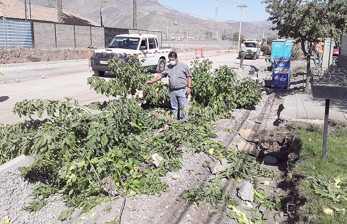 Prácticamente desde el inicio de las obras, los vecinos del sector han debido soportar una serie de problemas, tal como los árboles que se talaron en enero de este año. Hoy deben esperar otros 90 días más para ver terminados los trabajos, lo que harán con gusto con tal que la obra que ‘impecable’.