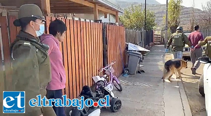 Madre e hijo fueron detenidos por tráfico de drogas.