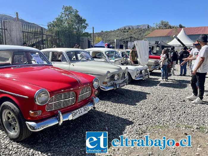 A la muestra llegaron vistosos y muy bien conservados automóviles de distintas partes del país.