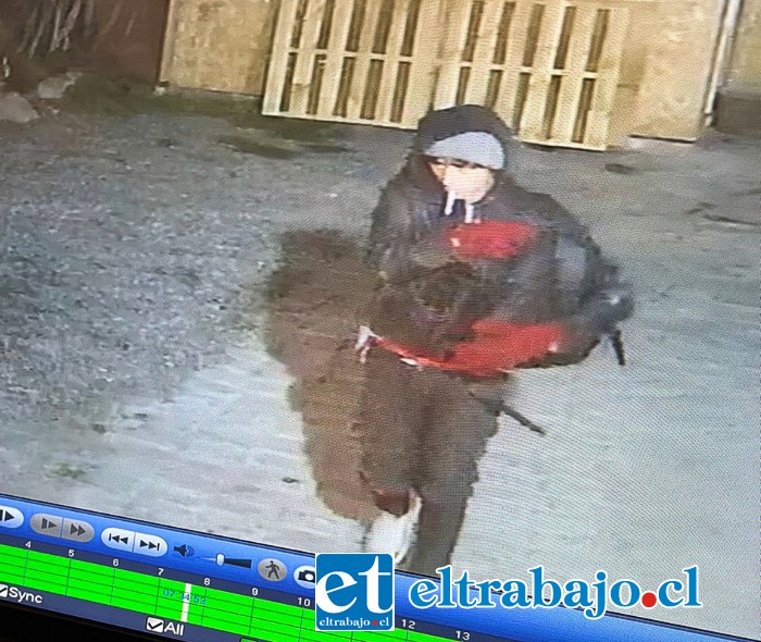 Este es el delincuente que ingresó a robar a la casa de este joven emprendedor en calle Carlos Condell.