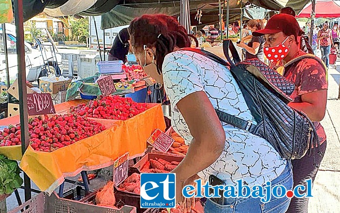 Este domingo la Feria Diego de Almagro funcionará normalmente.