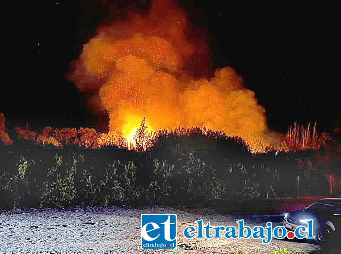 Fuego estuvo cerca de alcanzar viviendas en Panquehue.