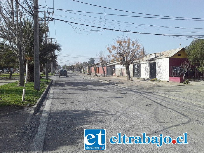 Así está la avenida Pedro de Valdivia en el sector poniente de San Felipe.