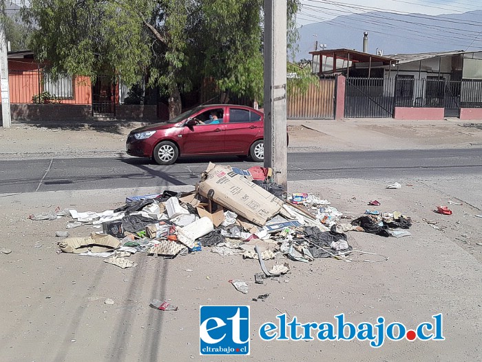 Otro montón de basura ayer en la mañana en la misma avenida.