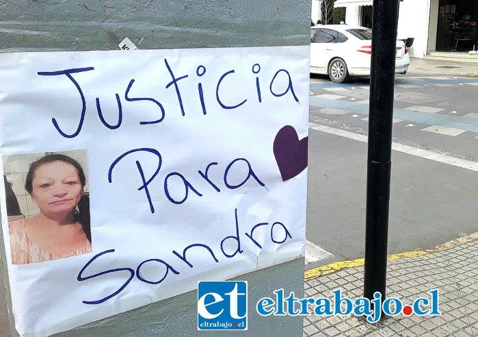 Sandra Jorquera Guerrero, asesinada en Villa Curimón. Ayer fue detenido el presunto autor de 22 años.