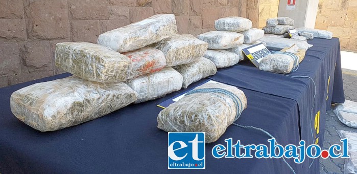 Un total de 42 kilos de marihuana tipo ‘Cripy’ decomisó la PDI a ciudadano venezolano ilegal en nuestro país.