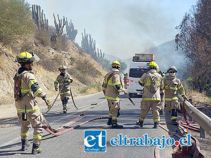 Bomberos y Conaf pudieron controlar la emergencia en el sector del cerro San José.