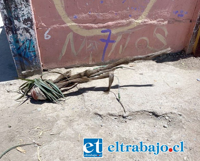 Poco a poco el ‘Joto’ ha vuelto a alterar la vida de los vecinos llevando basura al lugar.