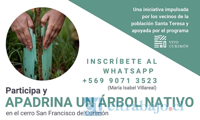 Un grupo de vecinas de la población Santa Teresa de Curimón creyó necesario realizar acciones de conservación y restauración de especies nativas y de educación ambiental.