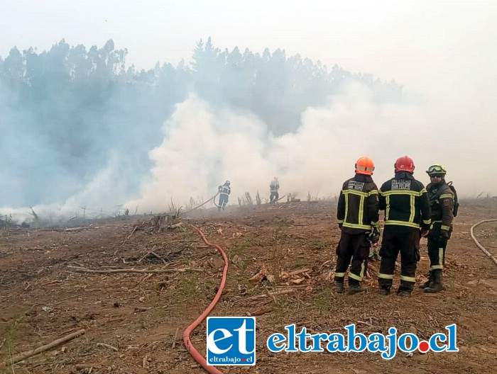 Bomberos de San Felipe en el combate de los incendios.