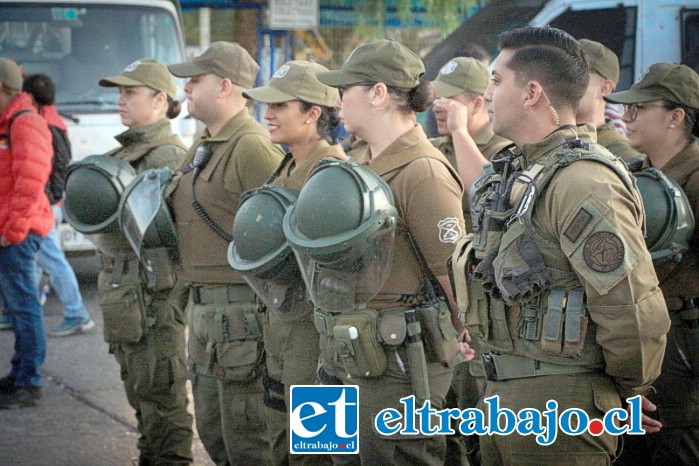 Personal de Carabineros asistieron en el proceso que se realizó para combatir el comercio ilegal y las cocinerías clandestinas.