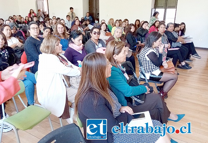 Más de 100 personas entre personal de salud, establecimientos educacionales, madres y padres, además de agrupaciones dedicadas a la condición.