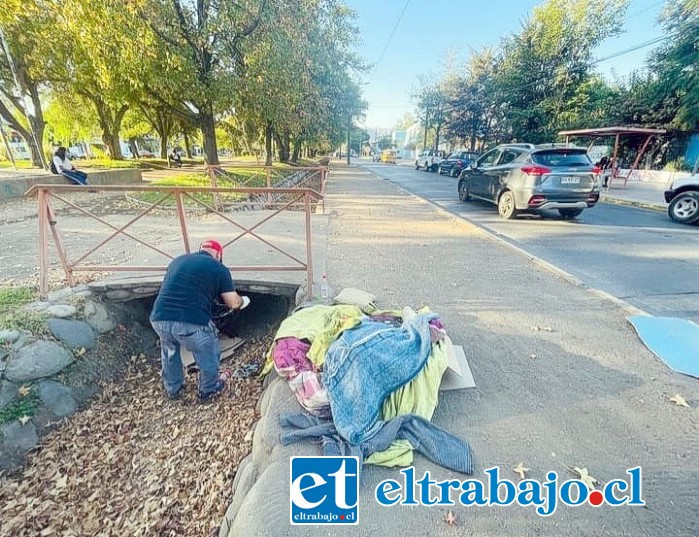 Personal municipal eliminó rucos en las alamedas.