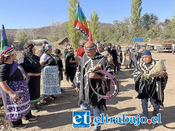 La Asociación de Grupos Originarios ‘Füta Repü’ de Calle Larga, por fin empieza a ver cristalizar un antiguo anhelo