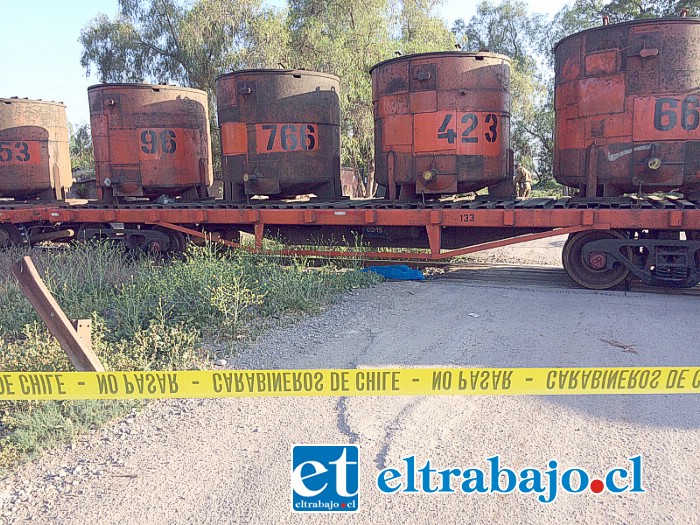 Un tren de Fepasa que transportaba concentrado de cobre arrolló al joven indigente. (Foto archivo)