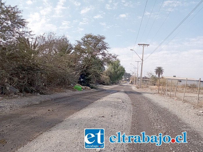 La imagen muestra el pésimo y lamentable estado de abandono del sector Parrasía.